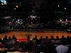 PIC03597-small_1.jpg
