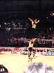 PIC03644-small_1.jpg
