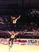 PIC03645-small_1.jpg