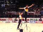PIC03647-small_1.jpg