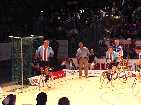 PIC03666-small_1.jpg