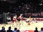 PIC03669-small_1.jpg