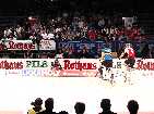 PIC03742-small_1.jpg