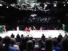 PIC03769-small_1.jpg