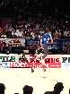 PIC03781-small_1.jpg