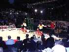 PIC03822-small_1.jpg
