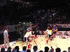 PIC03823-small_1.jpg
