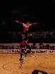 PIC03843-small_1.jpg