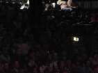 PIC03855-small_1.jpg