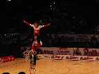 PIC03863-small_1.jpg