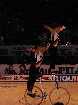 PIC03866-small_1.jpg