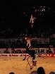 PIC03873-small_1.jpg