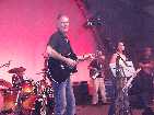 PIC03908-small_1.jpg
