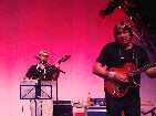 PIC03912-small_1.jpg