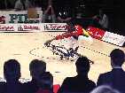 PIC04101-small_1.jpg