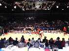 PIC04105-small_1.jpg