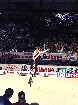 PIC04115-small_1.jpg