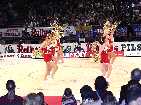 PIC04120-small_1.jpg