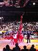 PIC04122-small_1.jpg