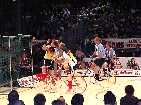 PIC04134-small_1.jpg