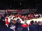 PIC04164-small_1.jpg